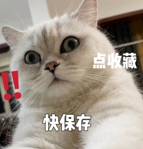 叮！送給備孕媽媽們的一封邀請函已到達~